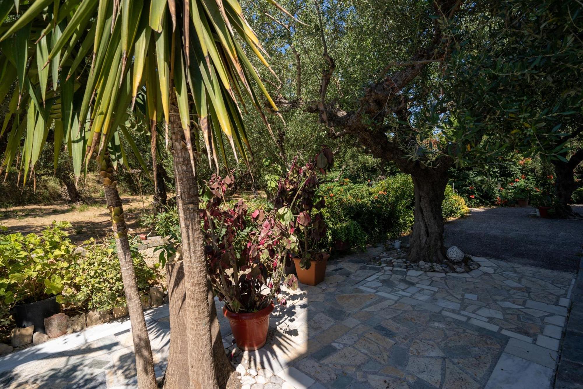 Skyblue Horizon Studio 1 Tsilivi  Exterior foto